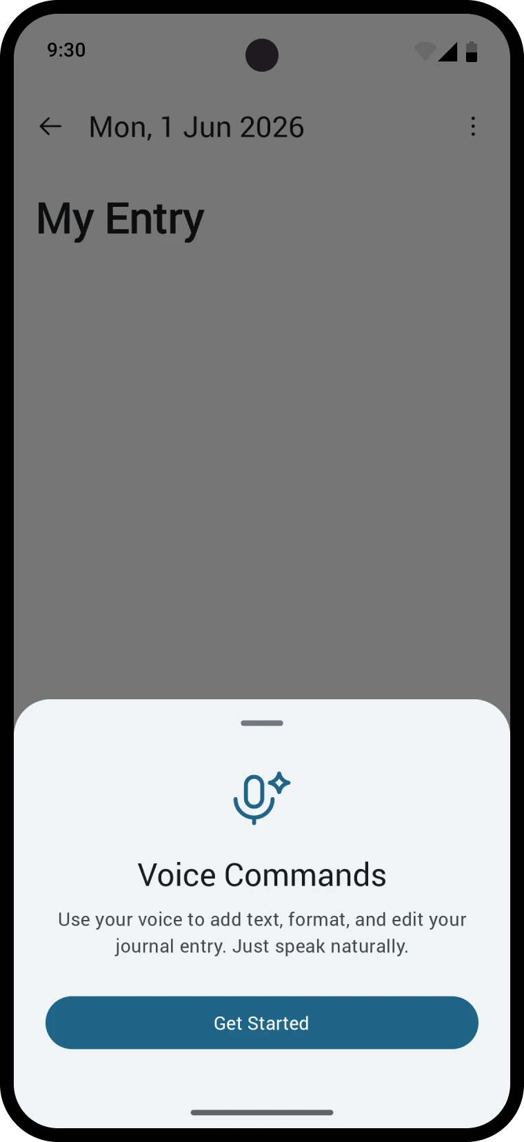 How the voice assistant edits the entry