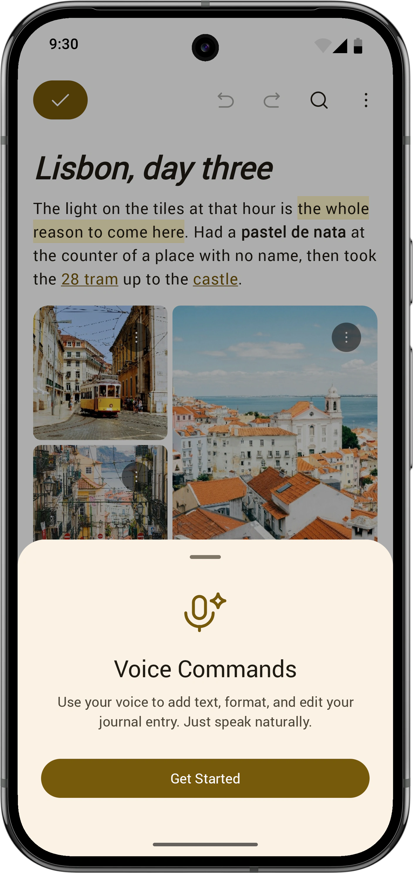 Voice Commands introduction explaining how to add, format, and edit journal text by speaking
